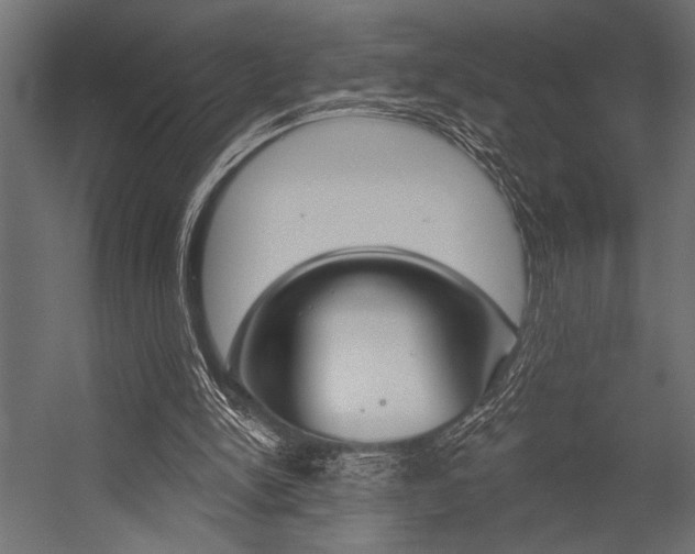 X0000054360150200507290814