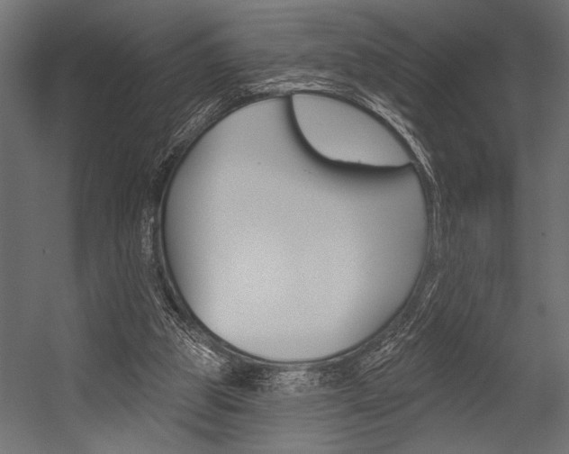X0000054360153200507290814