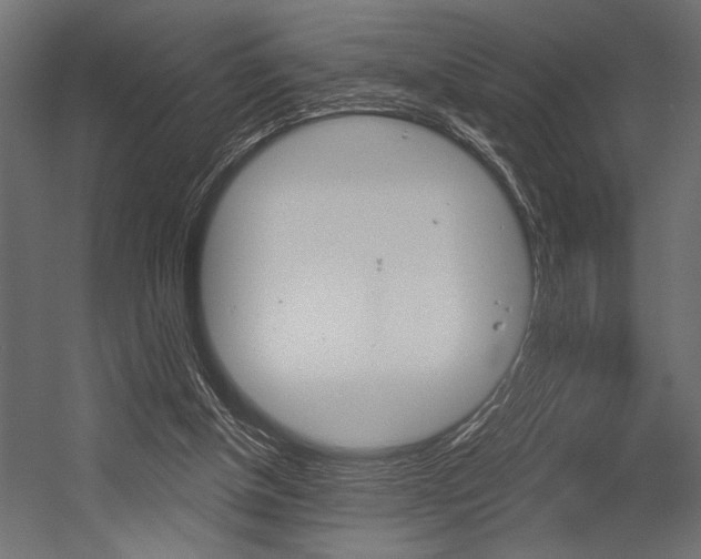 X0000054360154200507290814