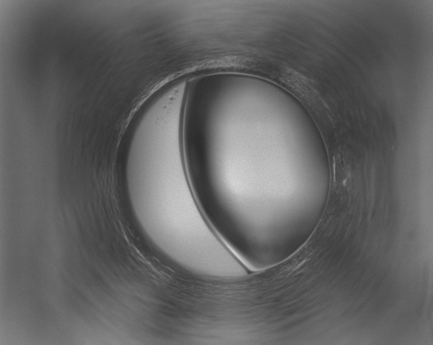 X0000054360156200507290814
