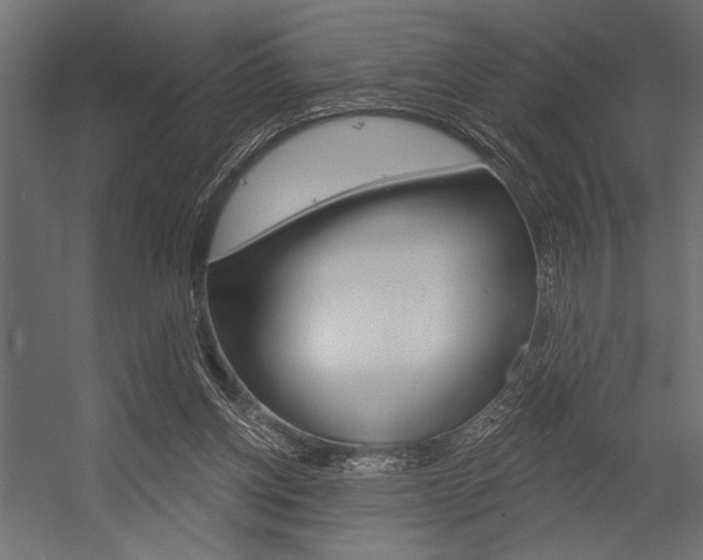 X0000054360158200507290814