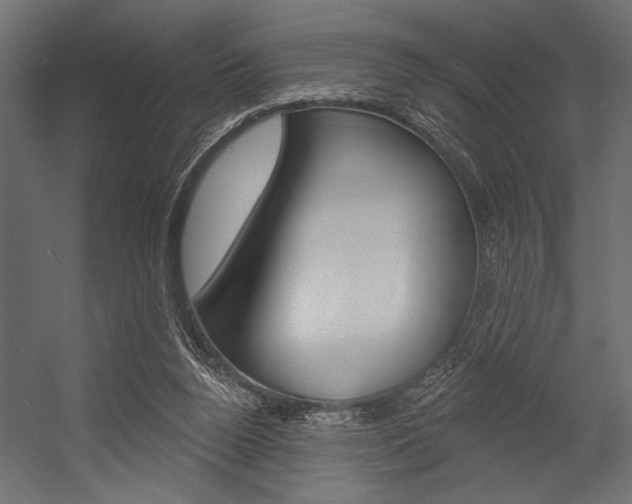 X0000054360160200507290814