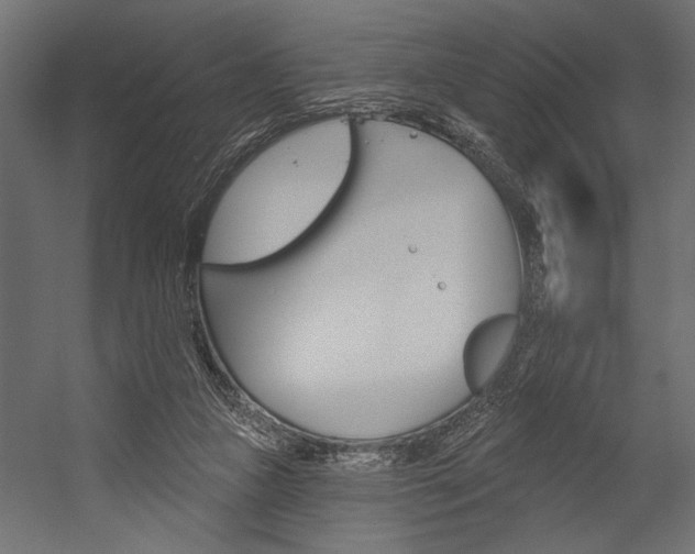 X0000054360161200507290814