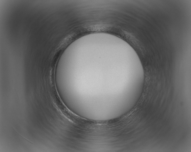 X0000054360163200507290814