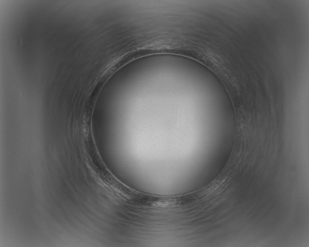 X0000054360164200507290814