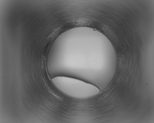 X0000054360165200507290814