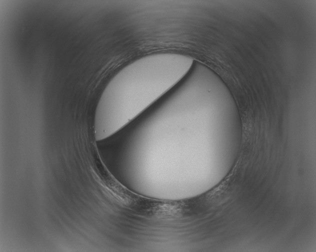 X0000054360166200507290814