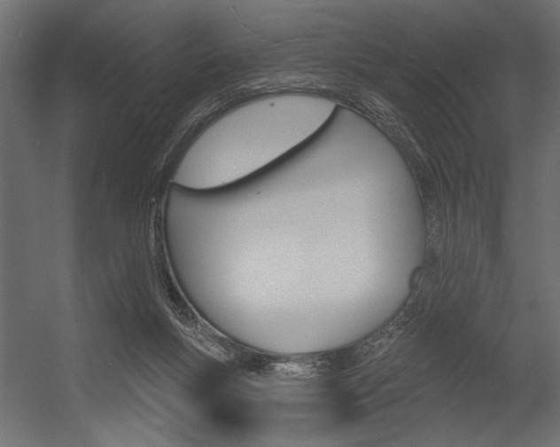 X0000054360167200507290814