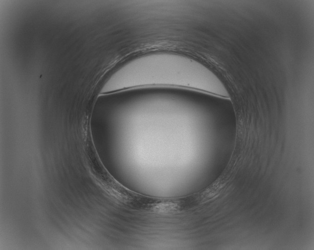 X0000054360168200507290814
