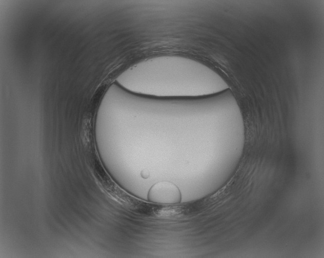 X0000054360171200507290814