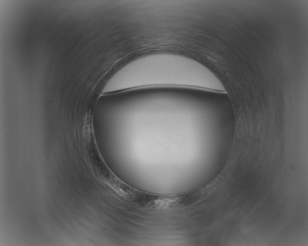 X0000054360172200507290814