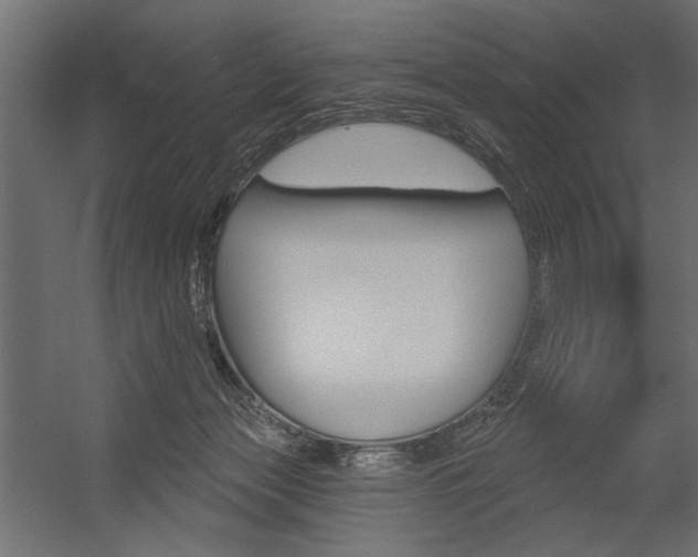 X0000054360173200507290814