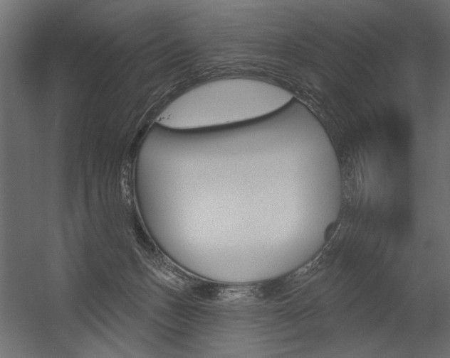 X0000054360175200507290814