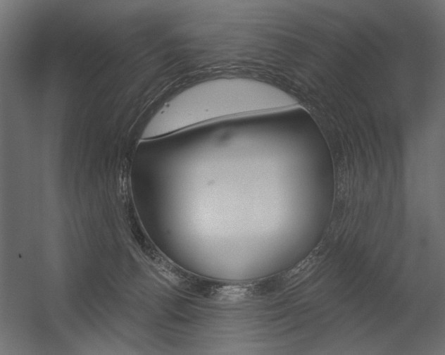 X0000054360176200507290814
