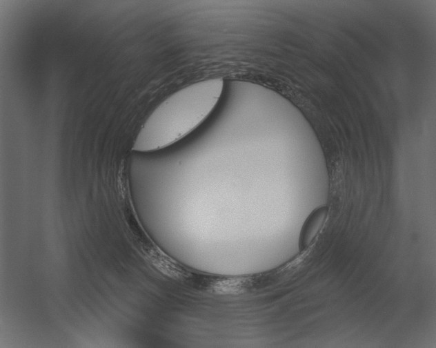 X0000054360178200507290814