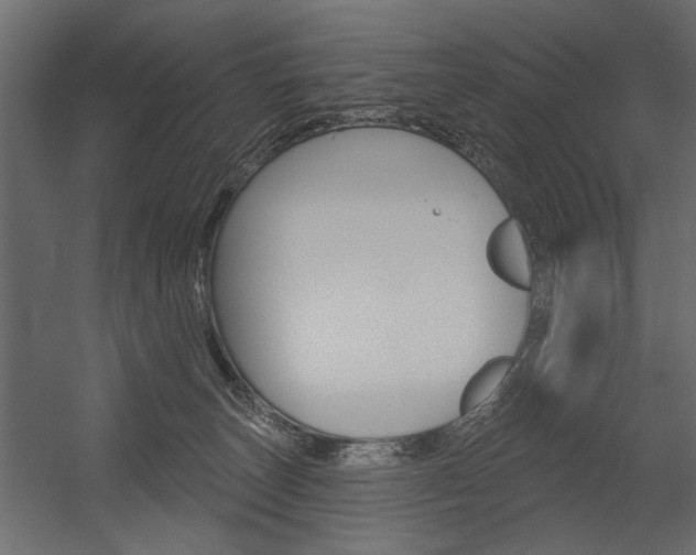 X0000054360179200507290814