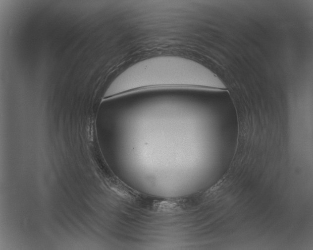 X0000054360180200507290814