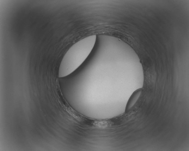 X0000054360181200507290814