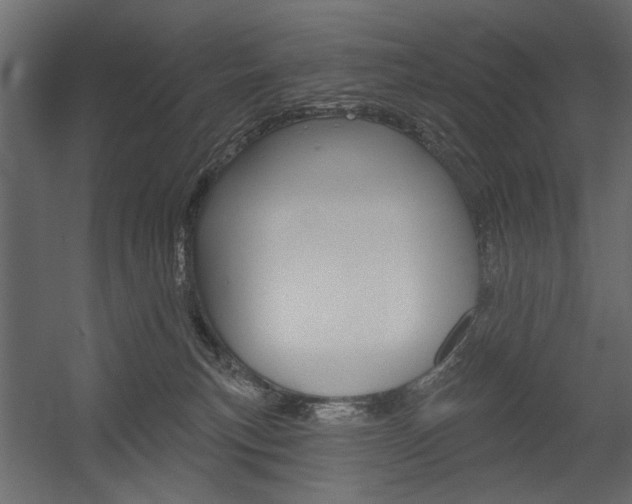 X0000054360183200507290814
