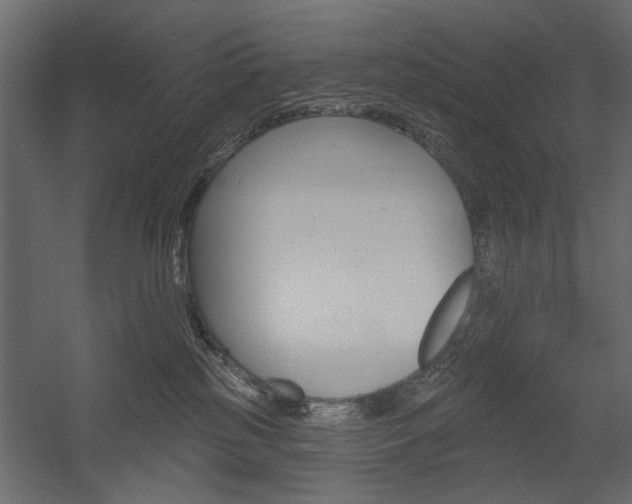 X0000054360185200507290814