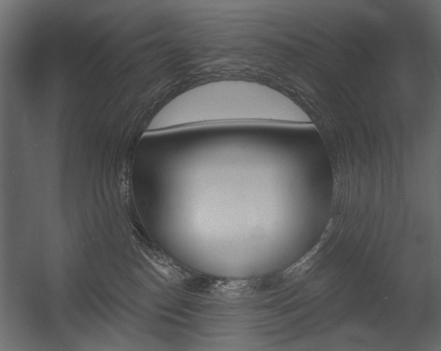 X0000054360186200507290814