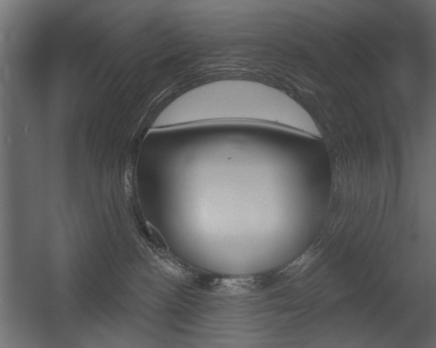 X0000054360188200507290814