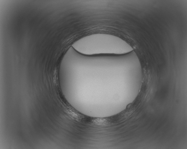 X0000054360189200507290814