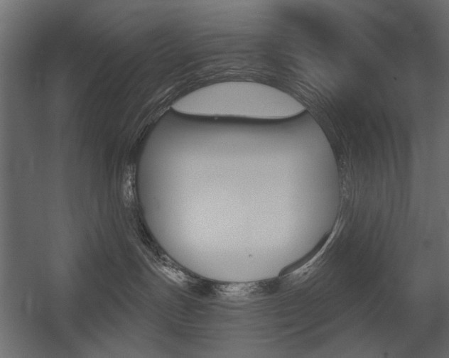 X0000054360191200507290814