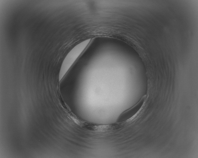 X0000054360192200507290814