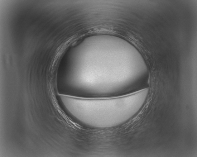 X0000054360193200507290814