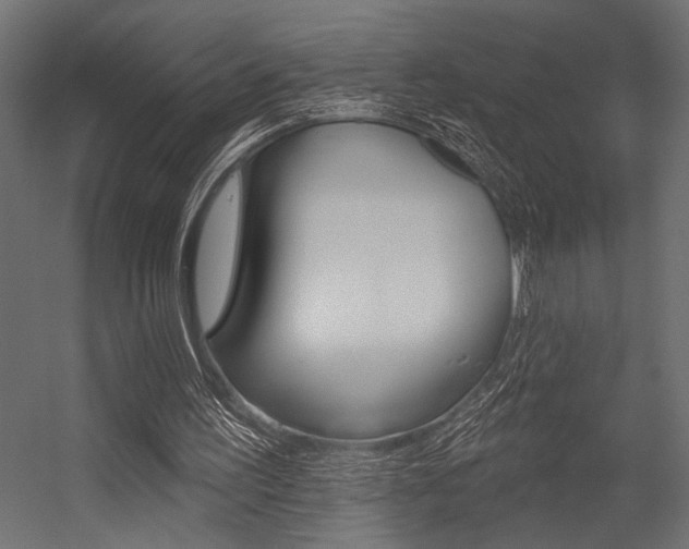 X0000054360195200507290814