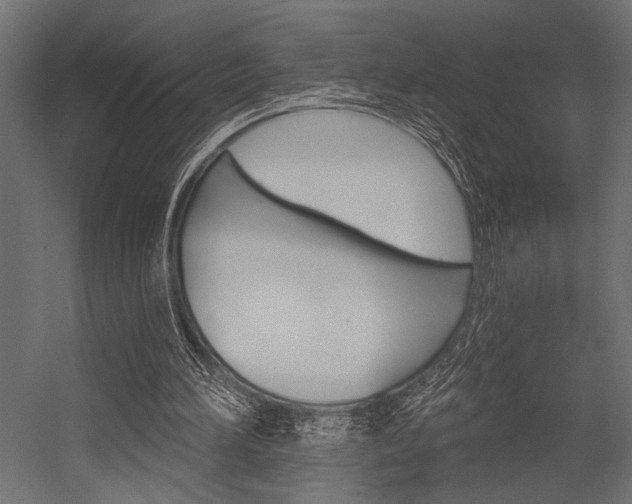 X0000054360196200507290814
