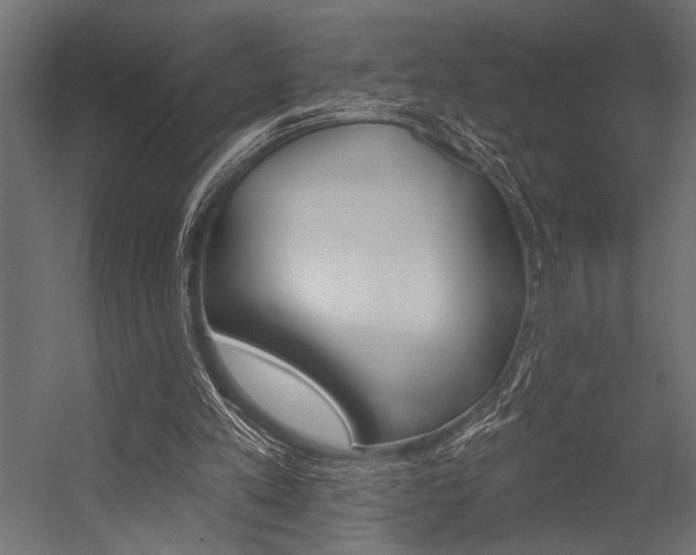 X0000054360197200507290814