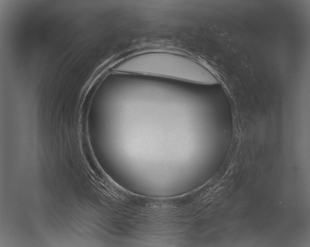 X0000054360199200507290813