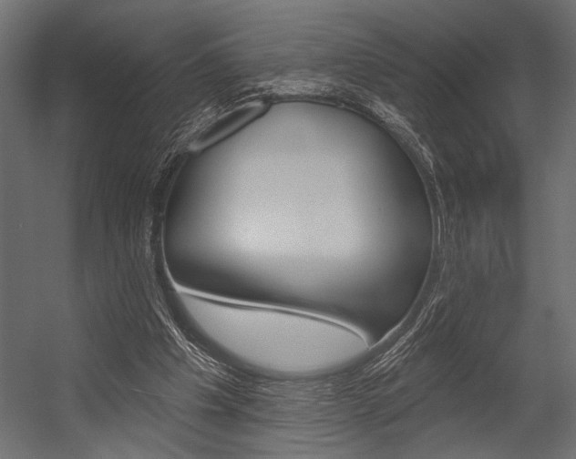 X0000054360201200507290813