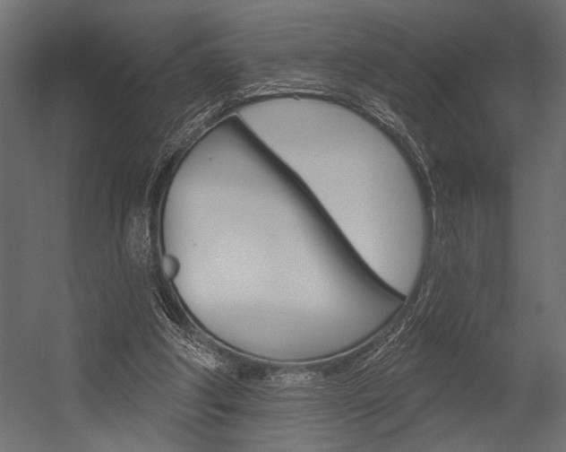 X0000054360202200507290813