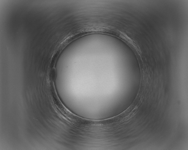X0000054360203200507290813