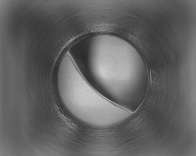 X0000054360204200507290813
