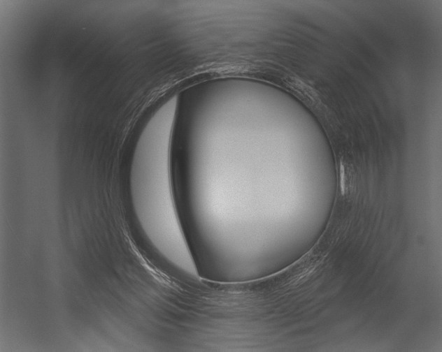 X0000054360205200507290813