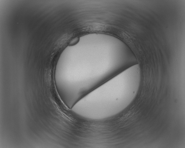 X0000054360206200507290813