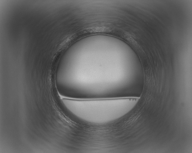 X0000054360207200507290813