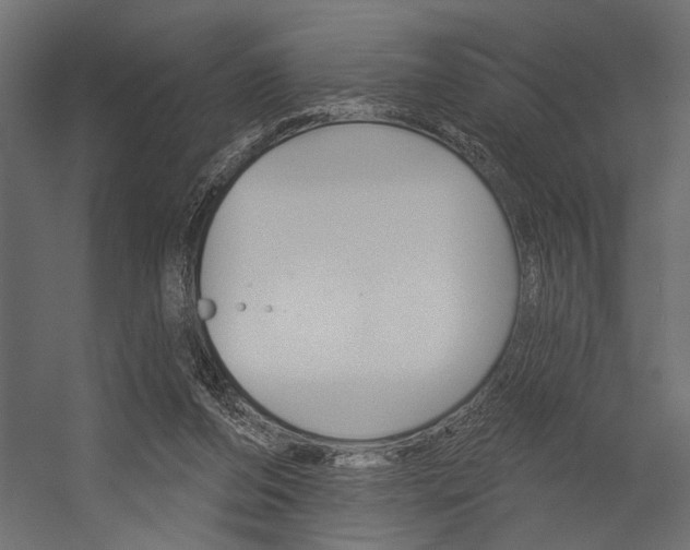 X0000054360208200507290813
