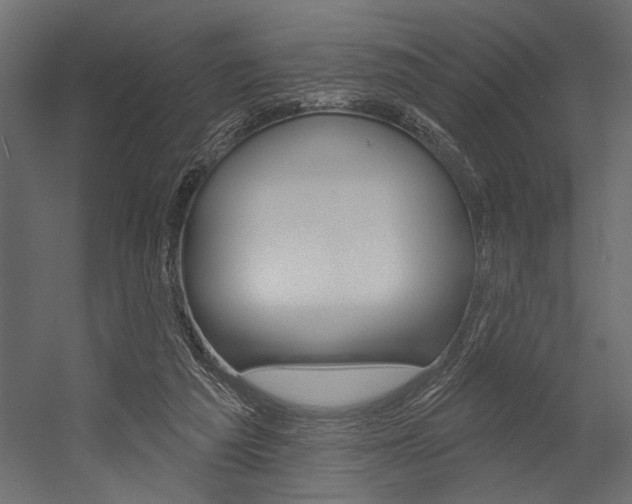 X0000054360209200507290813