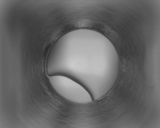 X0000054360210200507290813