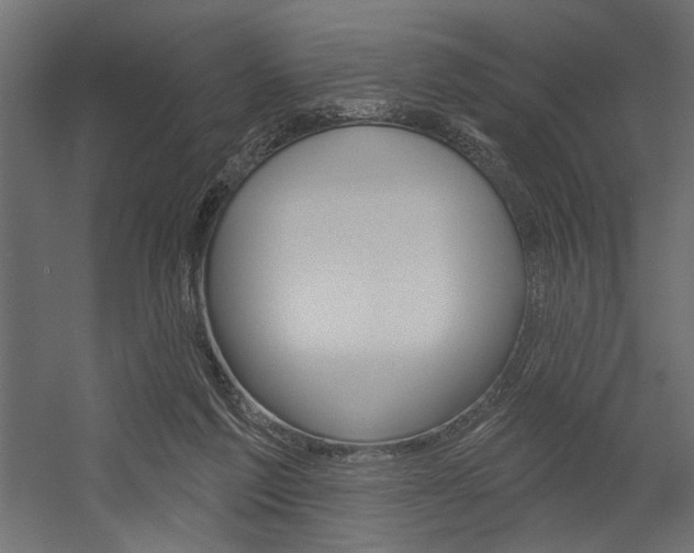 X0000054360213200507290813