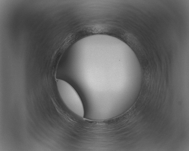 X0000054360214200507290813