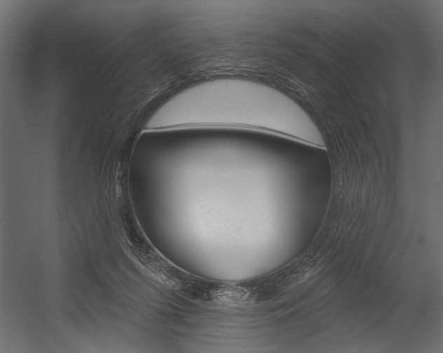 X0000054360215200507290813