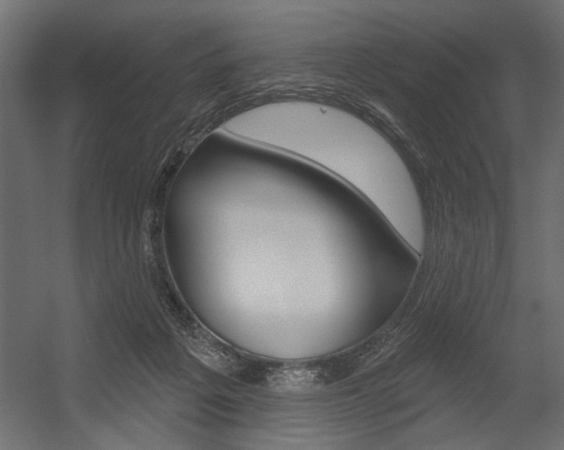 X0000054360217200507290813