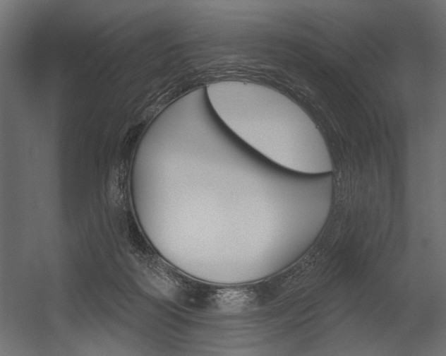 X0000054360218200507290813