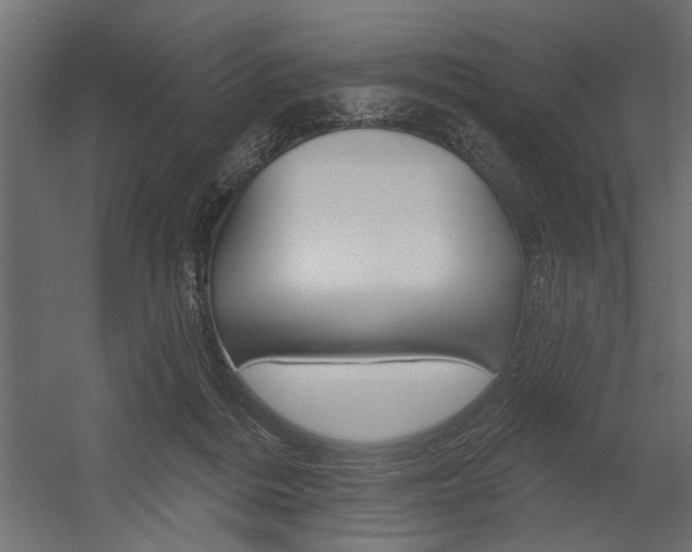X0000054360220200507290813